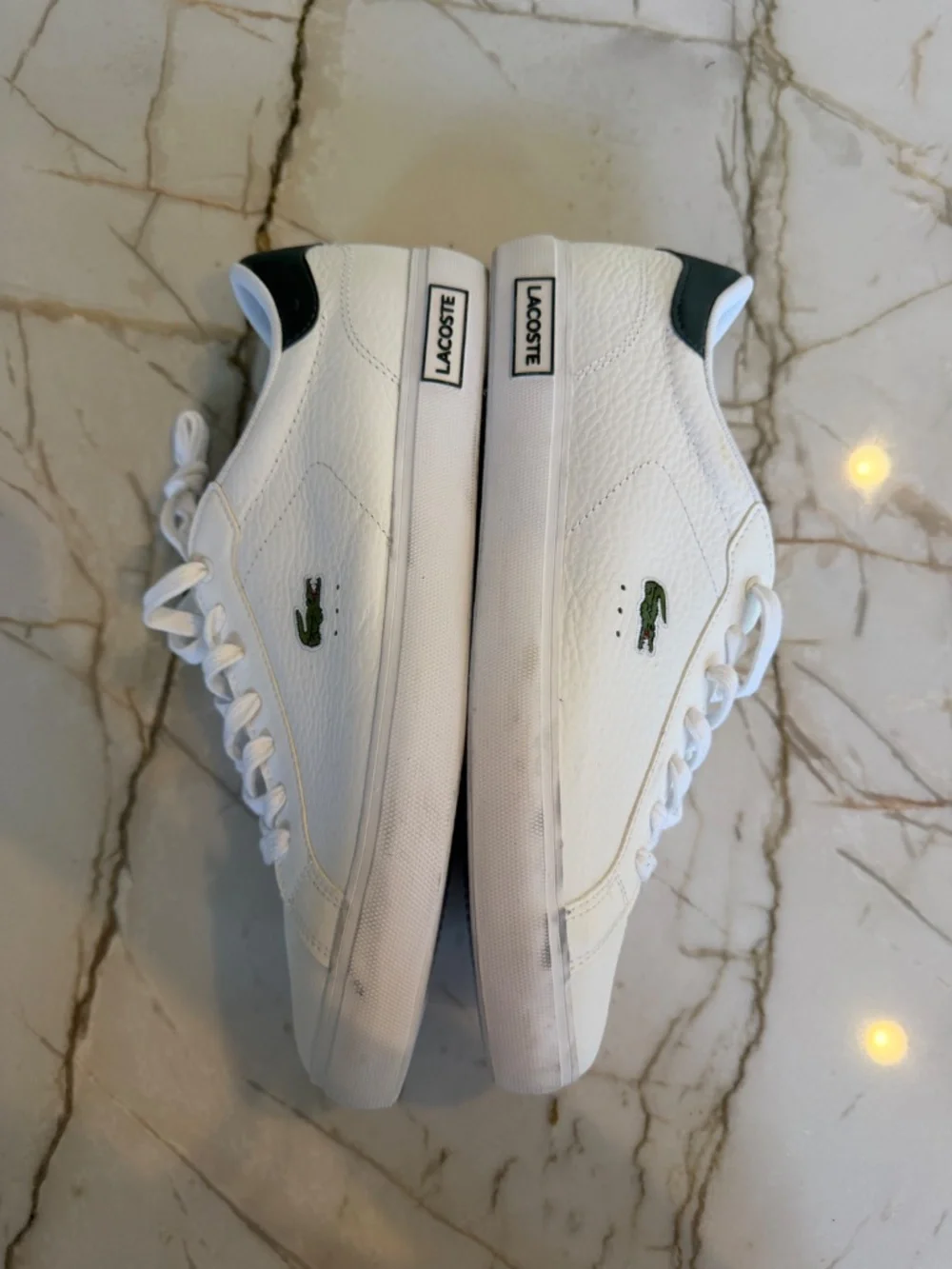 Men's Lacoste Sneakers